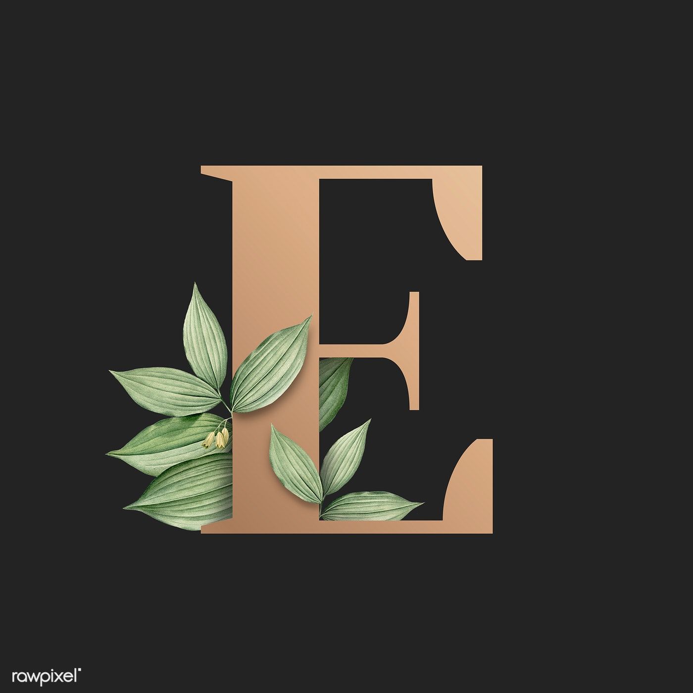 Cute Letter E Wallpapers