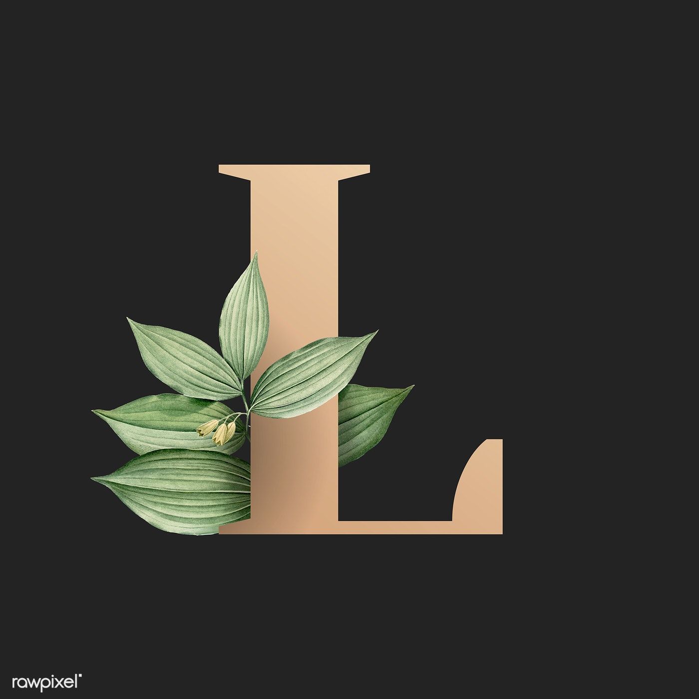Cute Letter L Wallpapers Wallpapers