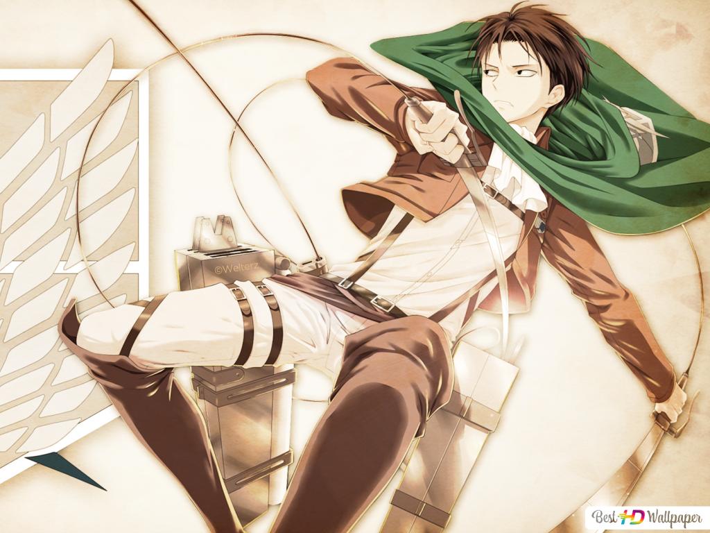 Cute Levi Ackerman Wallpapers