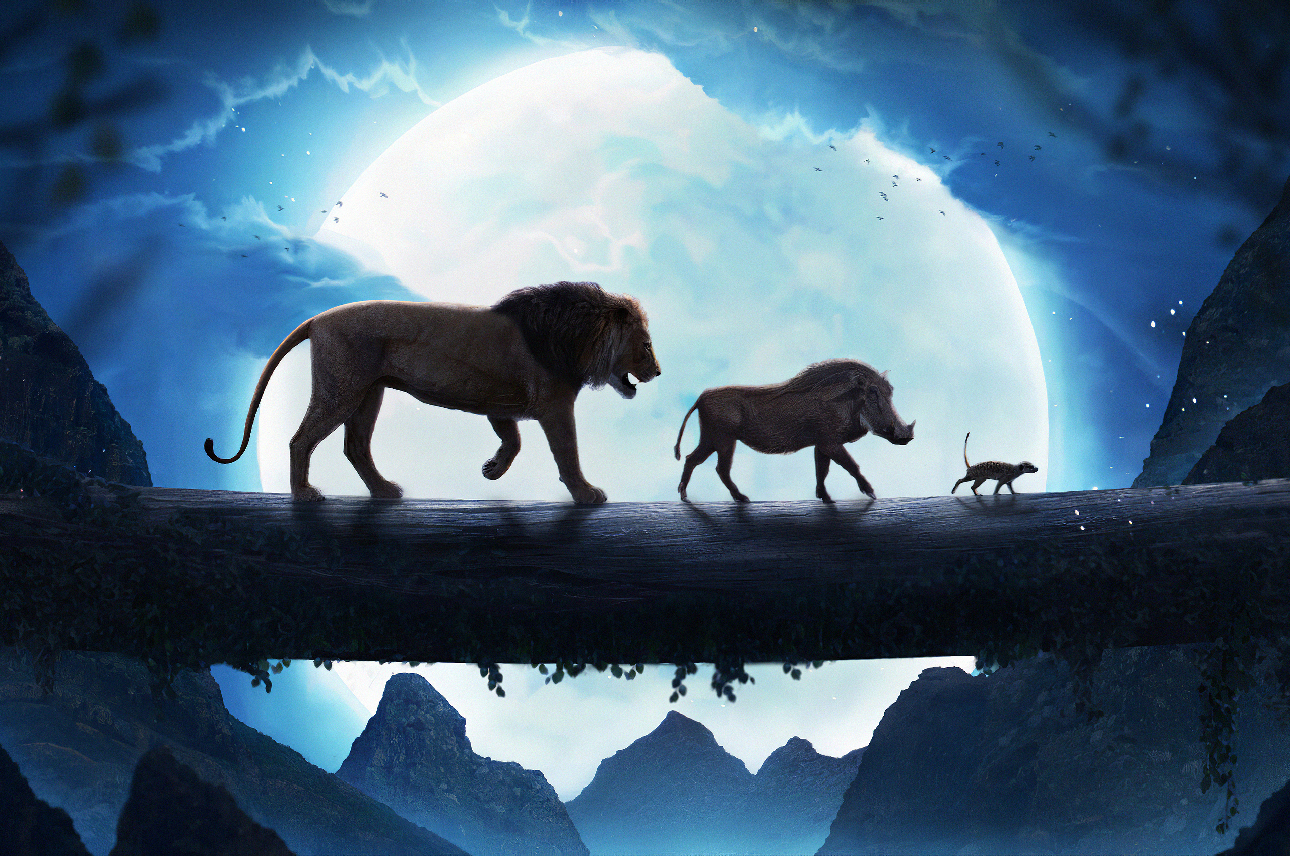 Cute Lion King Wallpapers