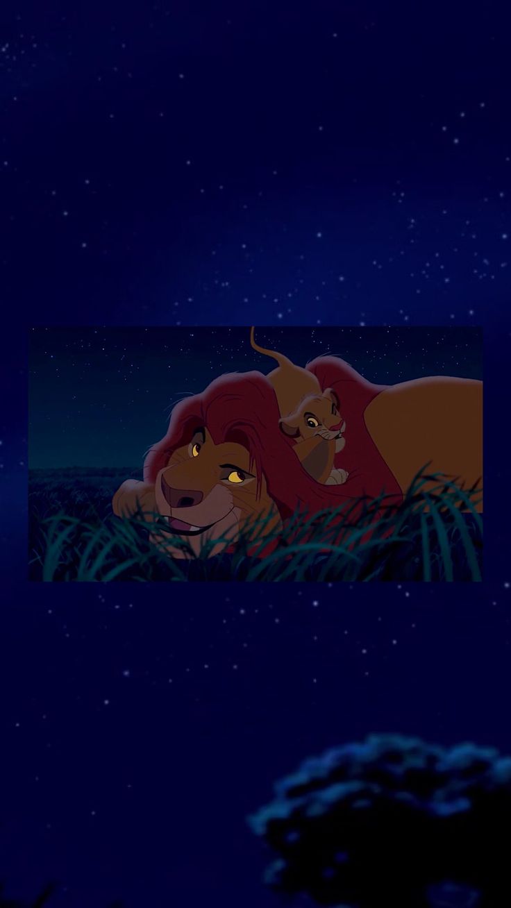 Cute Lion King Wallpapers Wallpapers