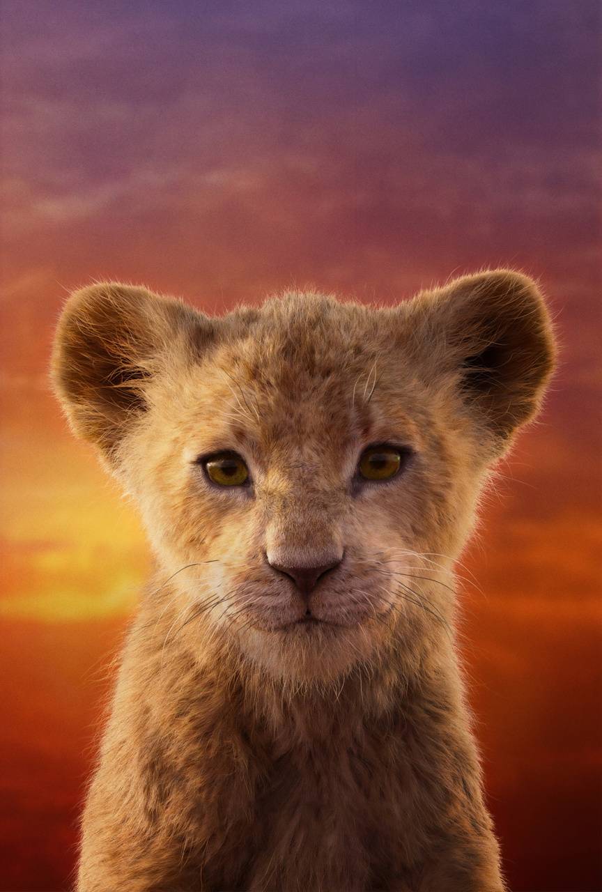 Cute Lion King Wallpapers Wallpapers