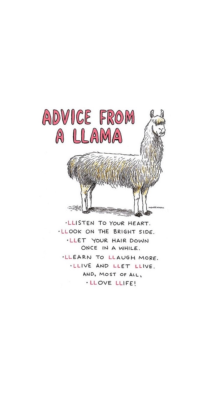 Cute Llama Wallpapers