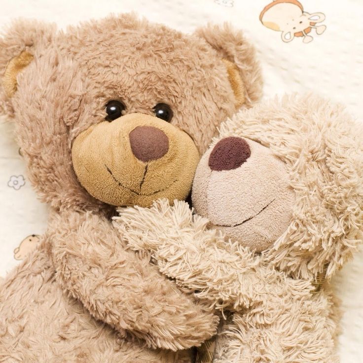 Cute Love Teddy Bear Wallpaper Wallpapers