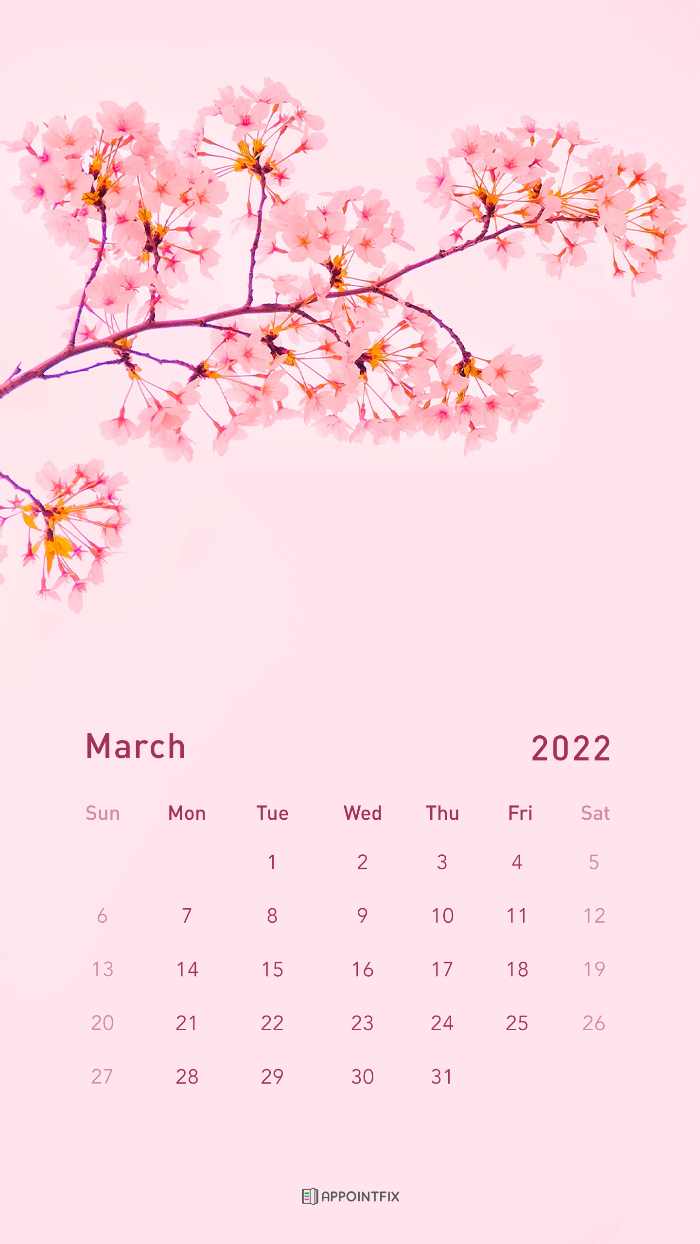 Cute March Wallpapers