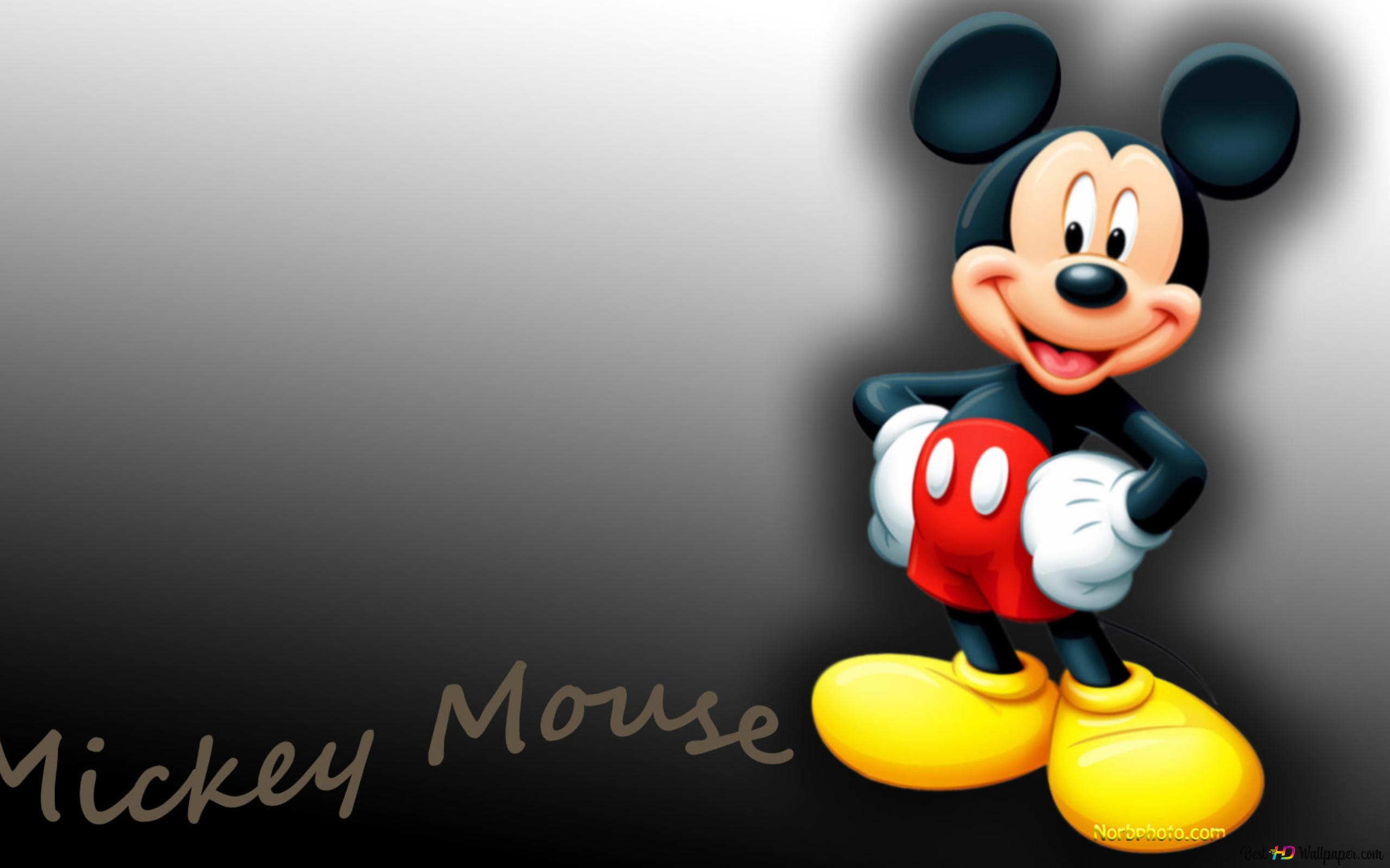 Cute Mickey Ears Wallpapers Wallpapers