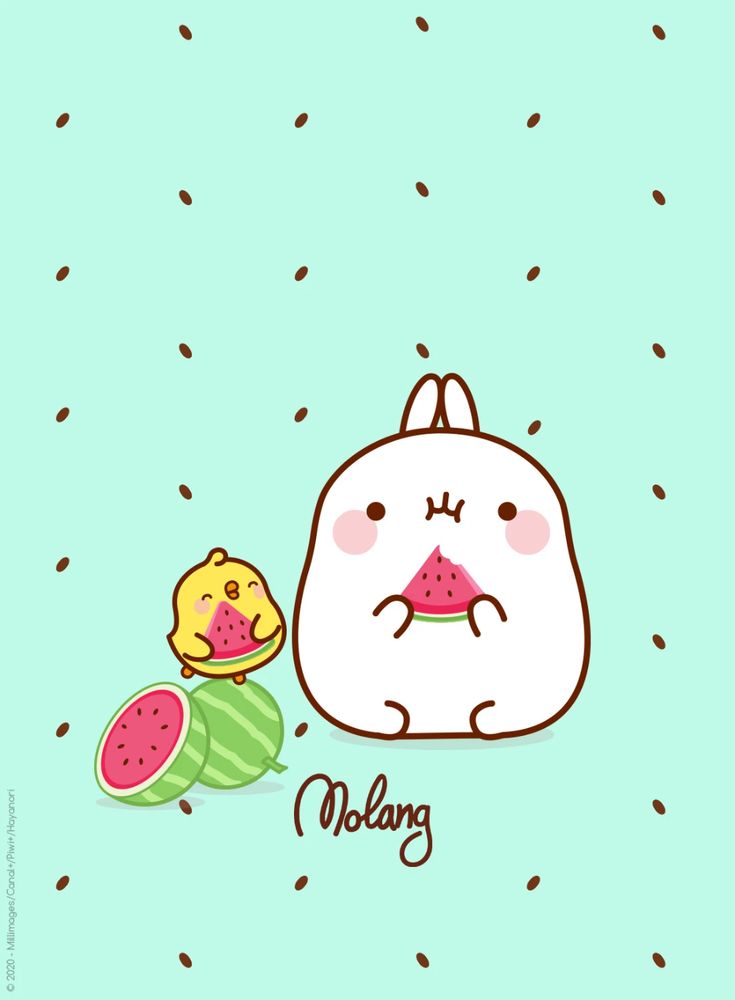 Cute Molang Wallpapers Wallpapers