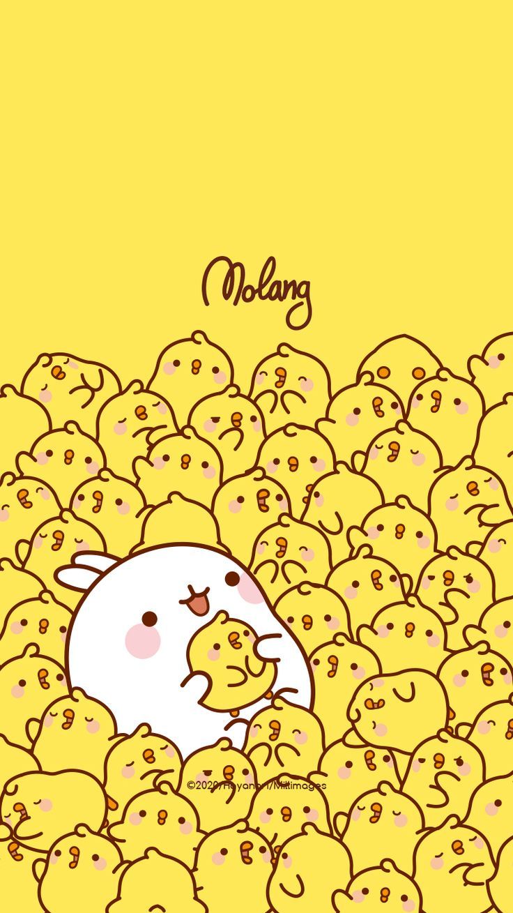 Cute Molang Wallpapers Wallpapers