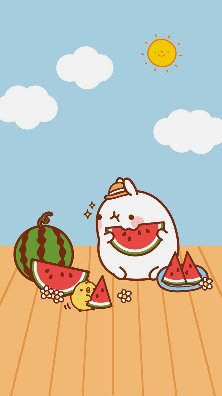 Cute Molang Wallpapers Wallpapers