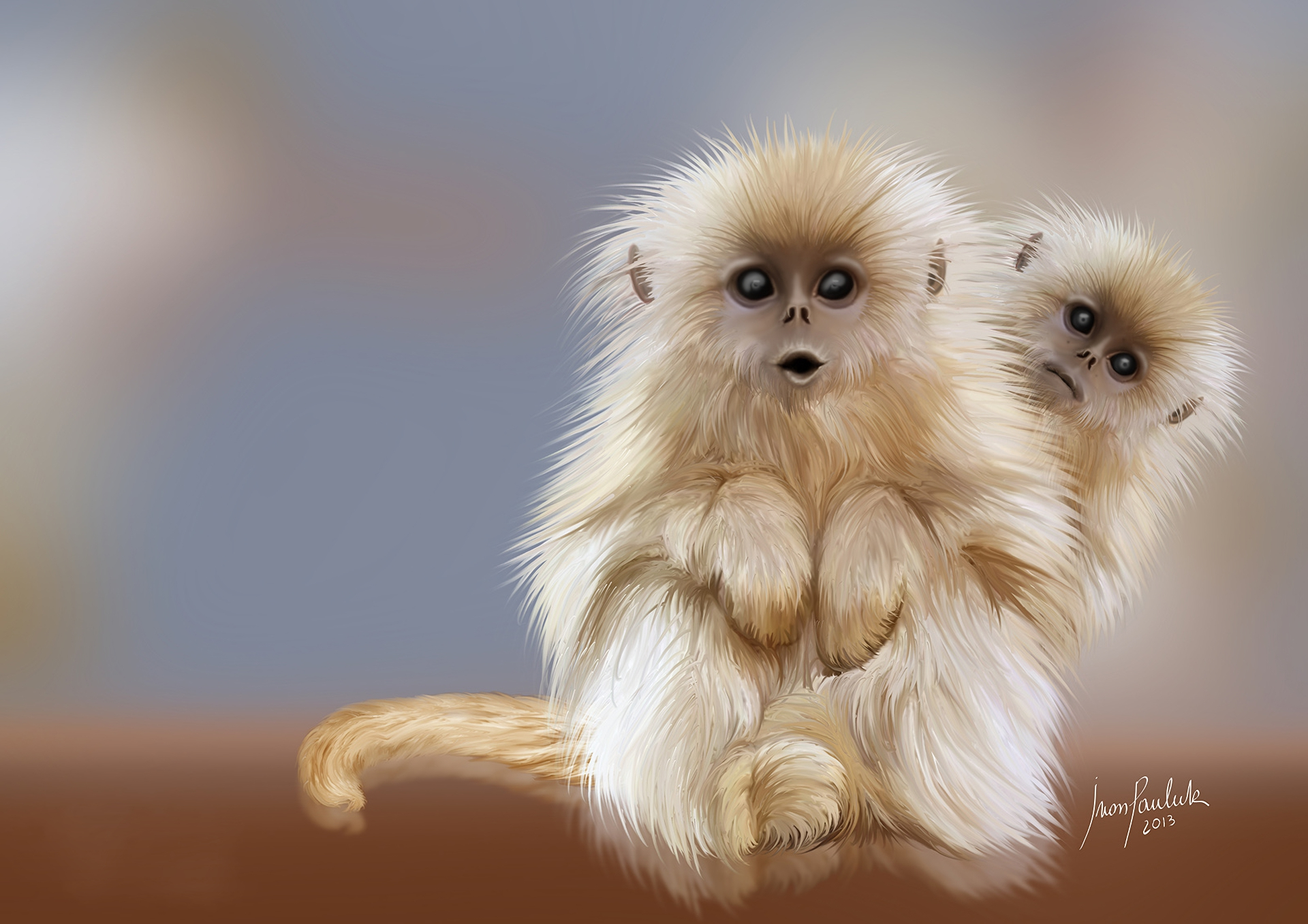 Cute Monkey Wallpapers