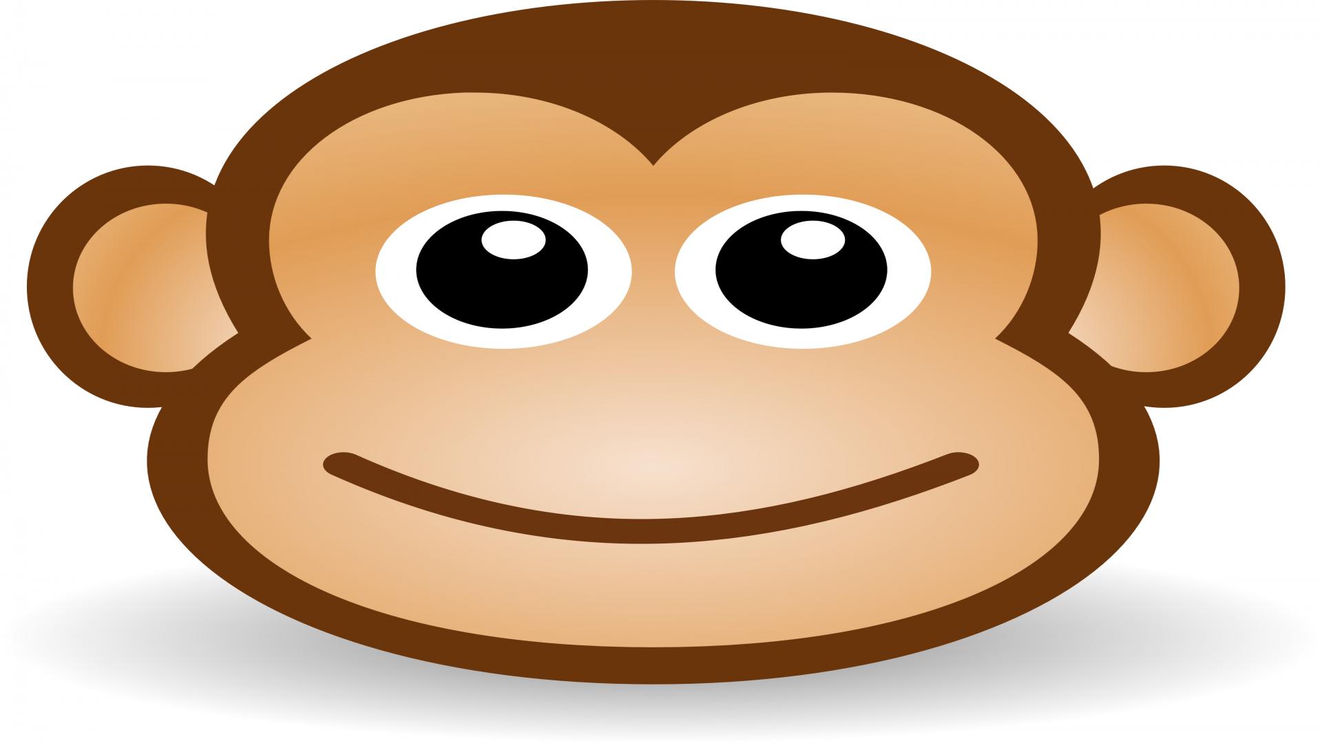 Cute Monkey Wallpapers