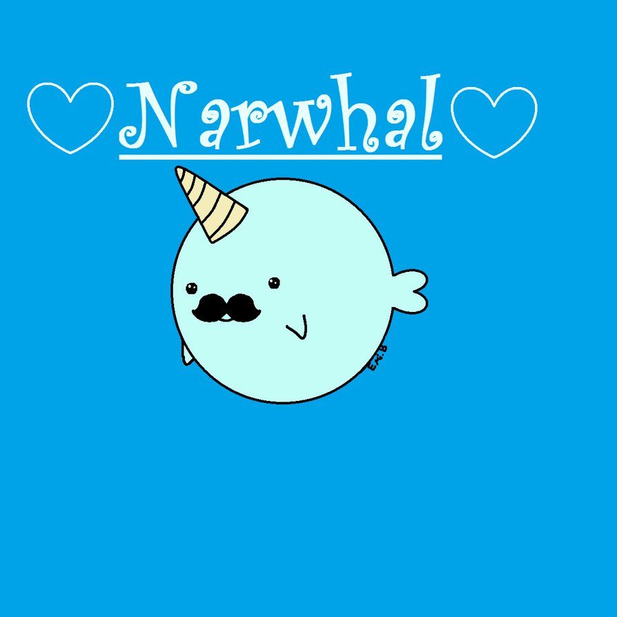 Cute Narwhal Wallpapers