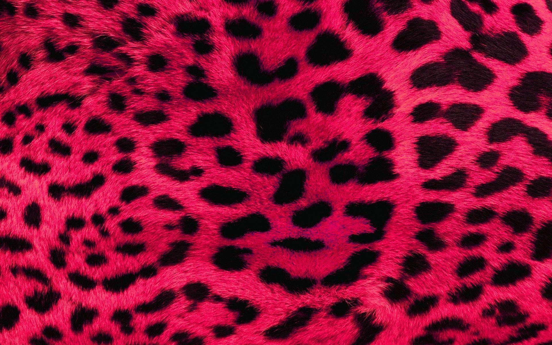 Cute Neon Animal Print Wallpapers Wallpapers