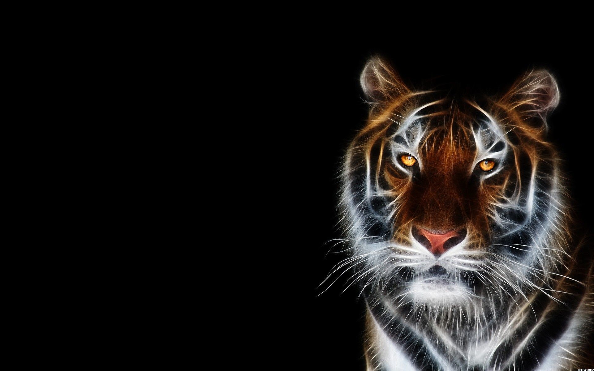 Cute Neon Animal Print Wallpapers Wallpapers