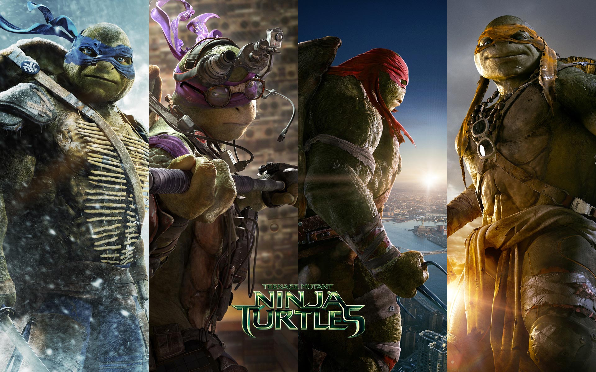 Cute Ninja Turtles Wallpapers