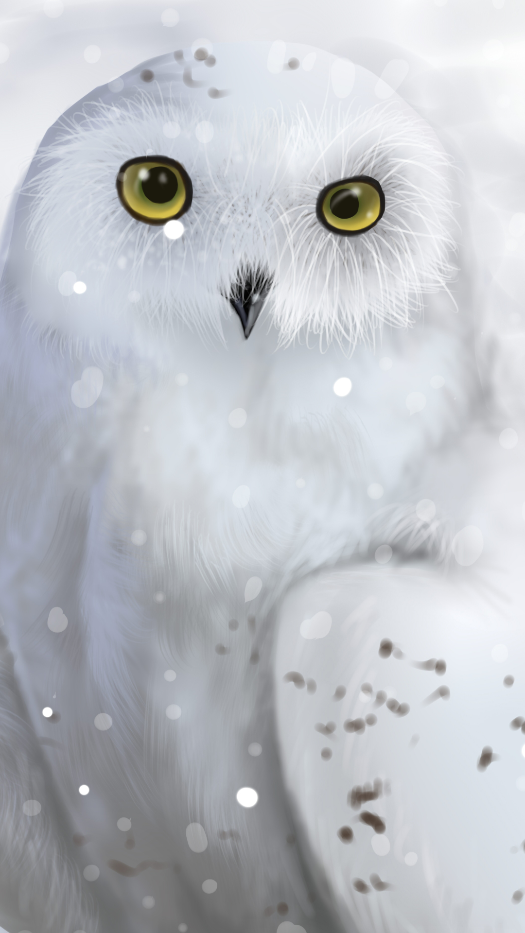 Cute Owl Phone Wallpapers