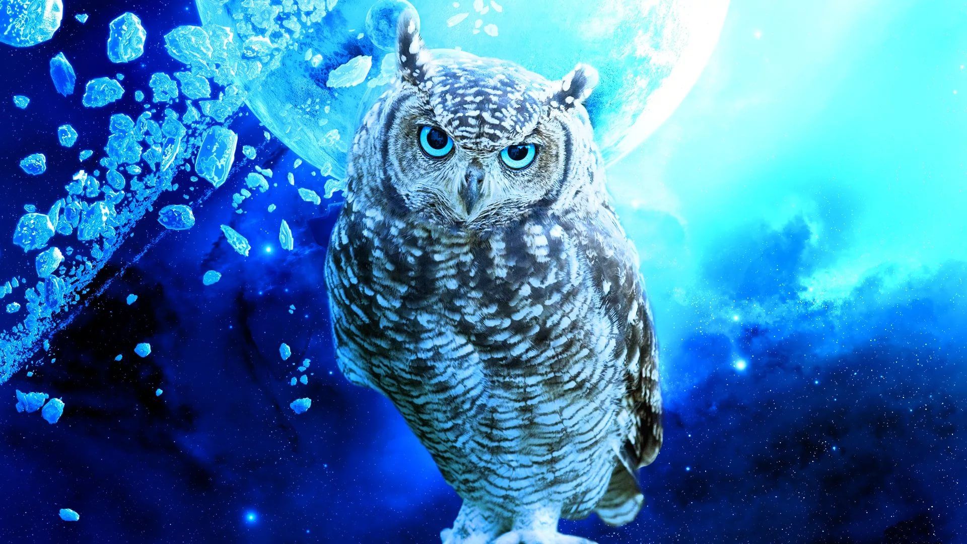 Cute Owl Wallpapers Wallpapers