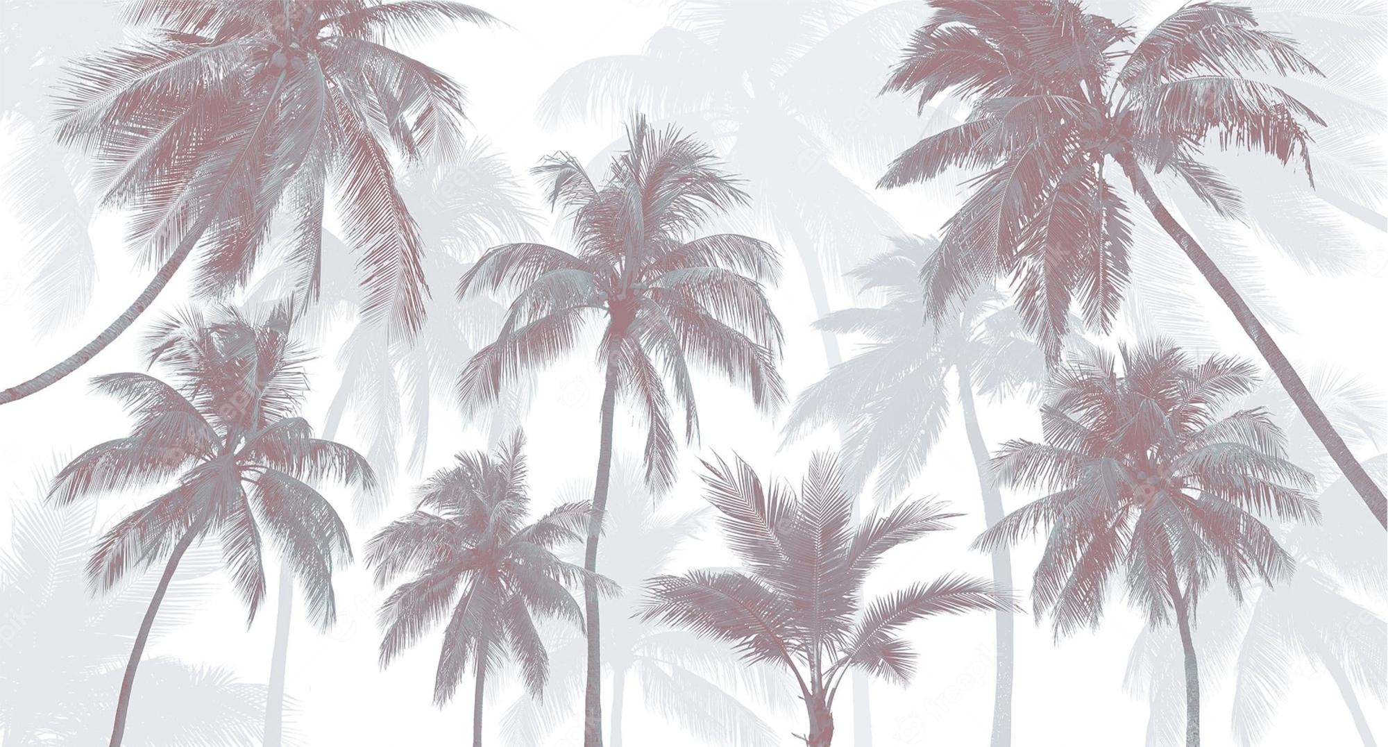 Cute Palm Tree Wallpapers Wallpapers