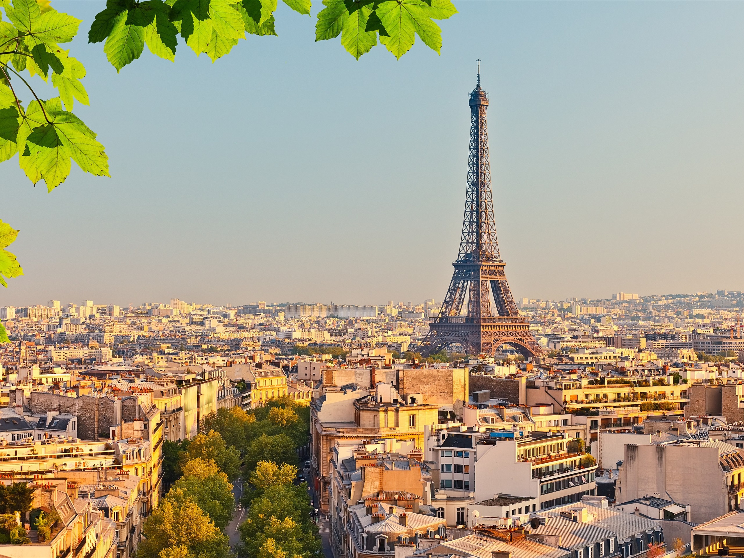 Cute Paris France Wallpapers