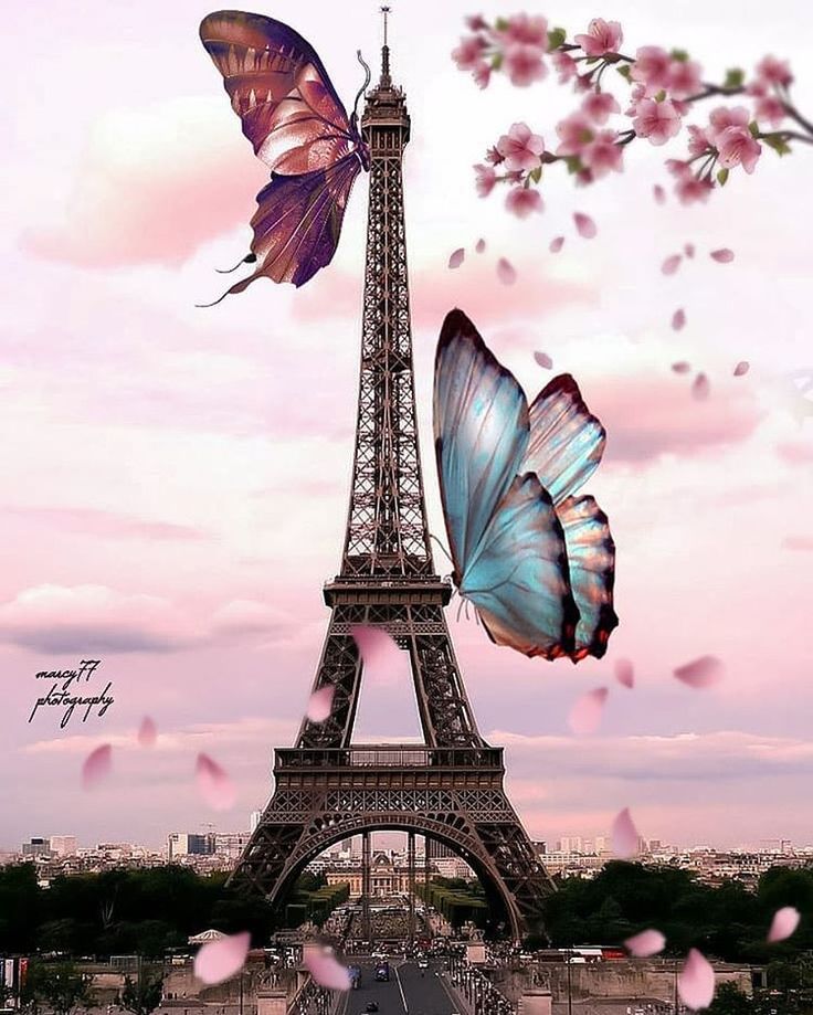 Cute Paris Wallpapers