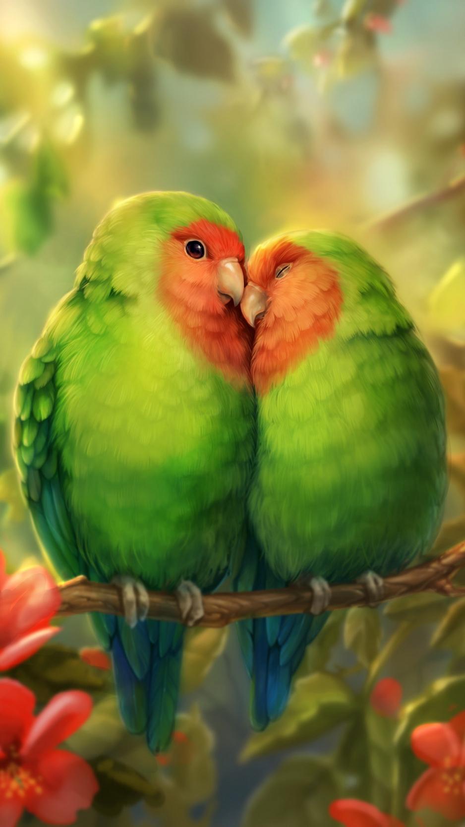 Cute Parrot Wallpapers