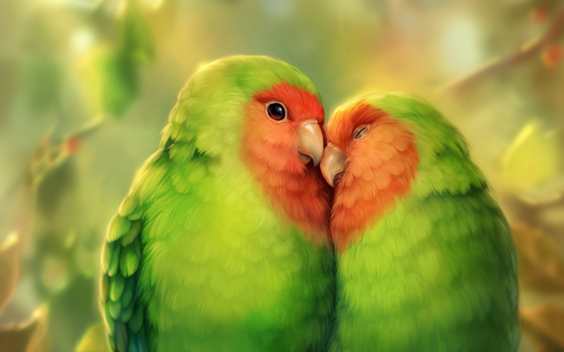 Cute Parrot Wallpapers