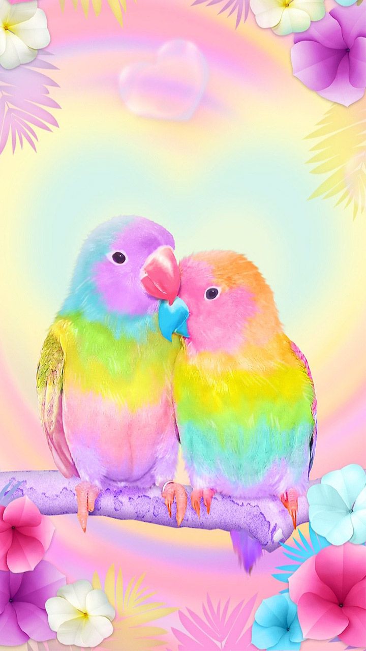 Cute Parrots Wallpapers