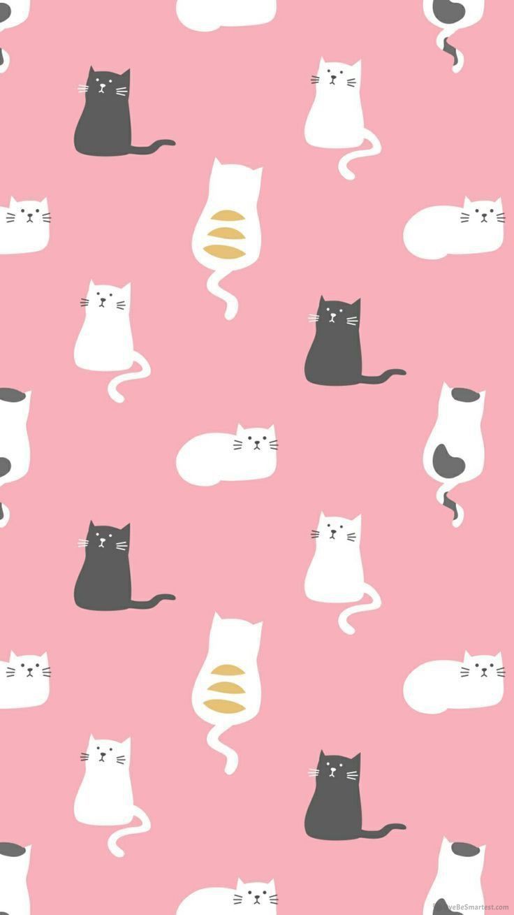 Cute Pastel Cats Wallpapers Wallpapers