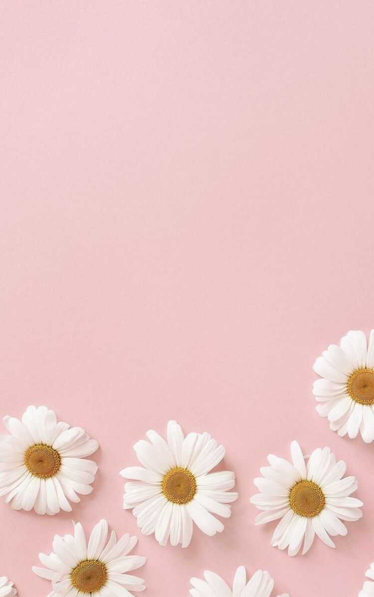 Cute Pastel Pink Aesthetic Wallpapers Wallpapers