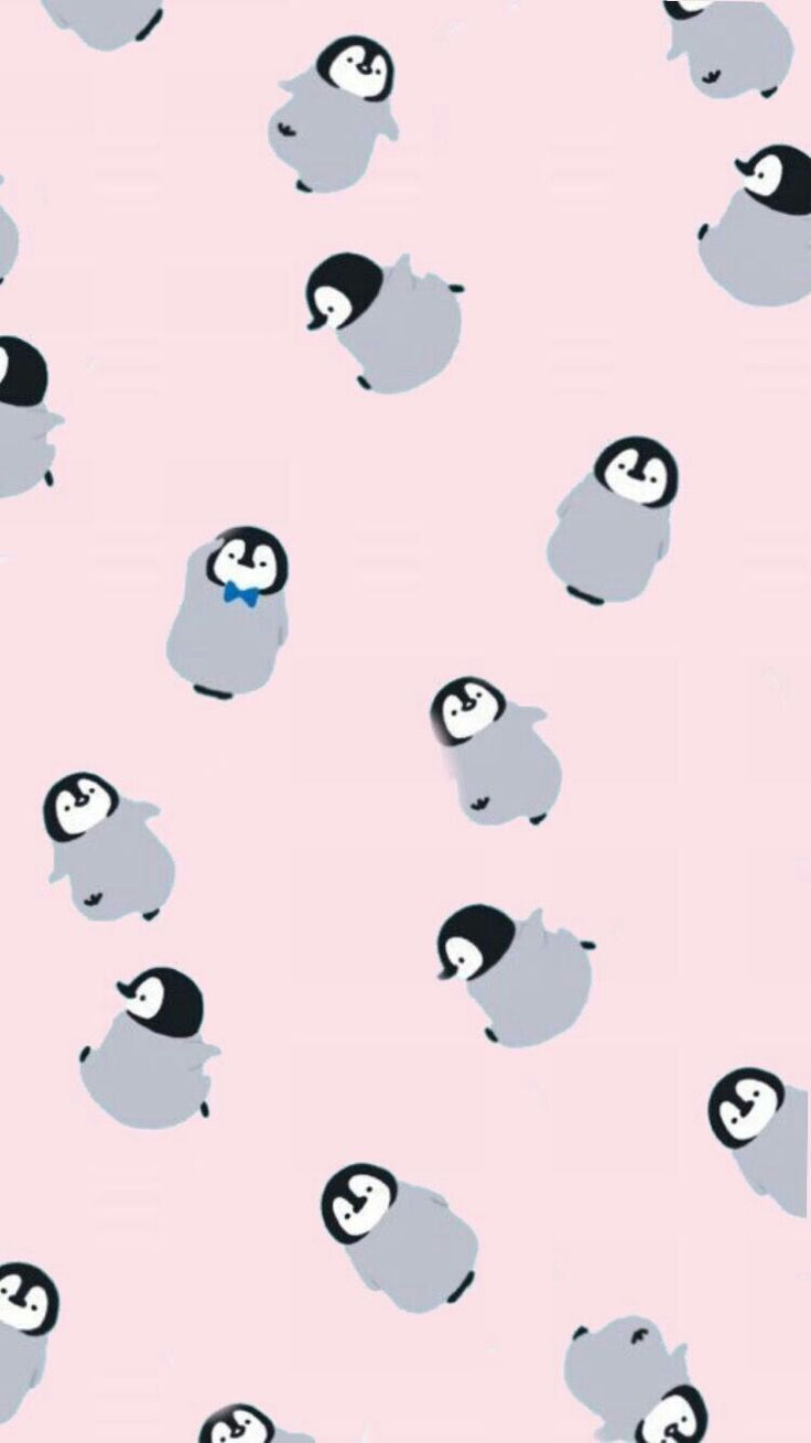 Cute Penguin Iphone Wallpapers