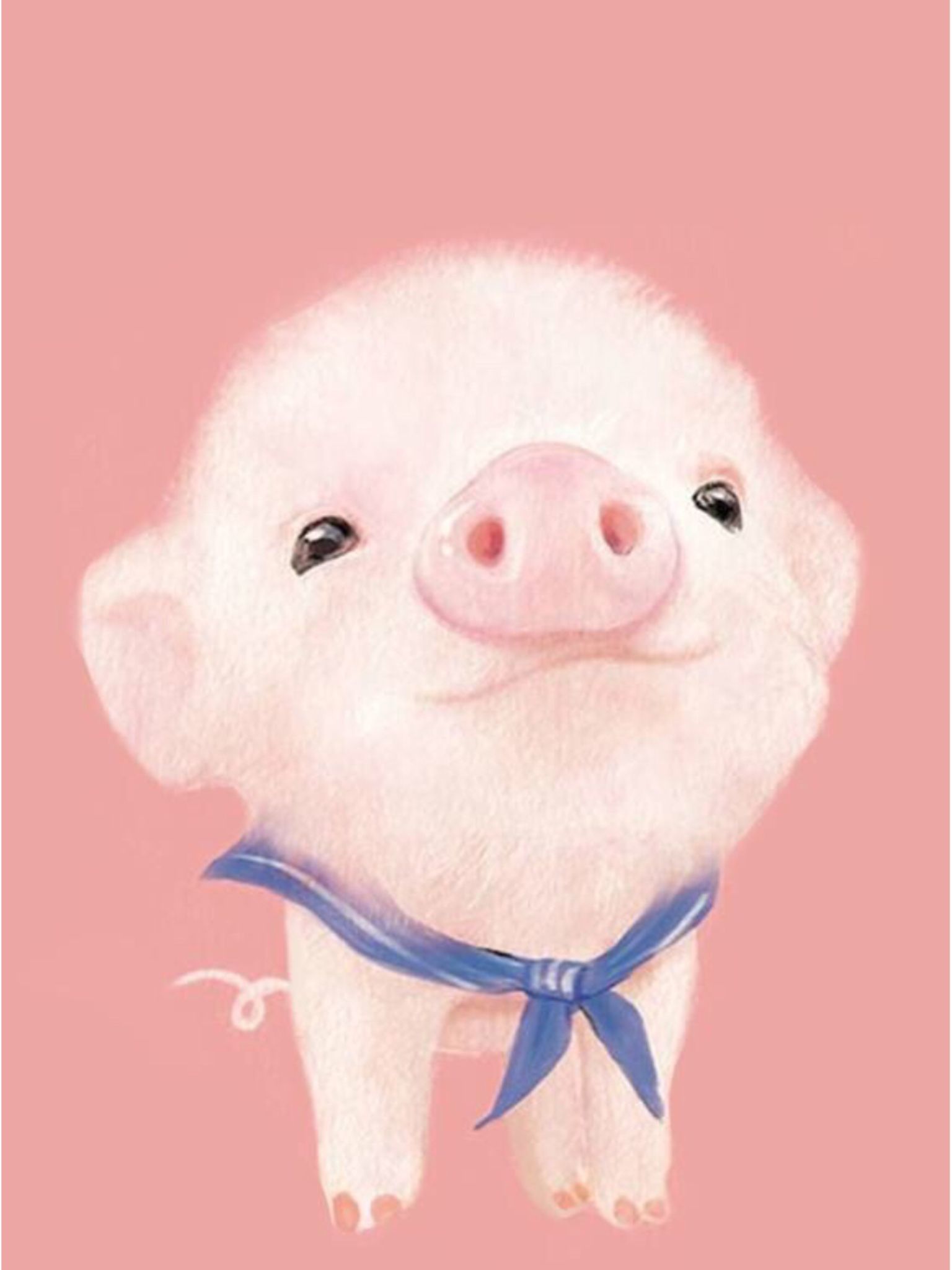 Cute Pig Background Samsung Galaxy