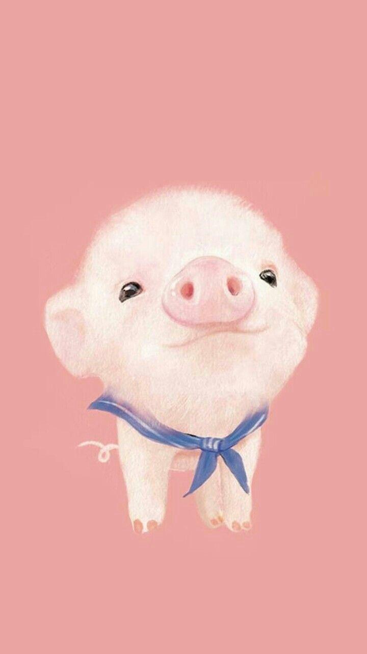 Cute Pig Background Samsung Galaxy