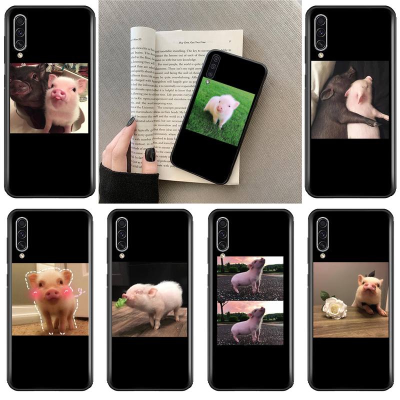 Cute Pig Background Samsung Galaxy