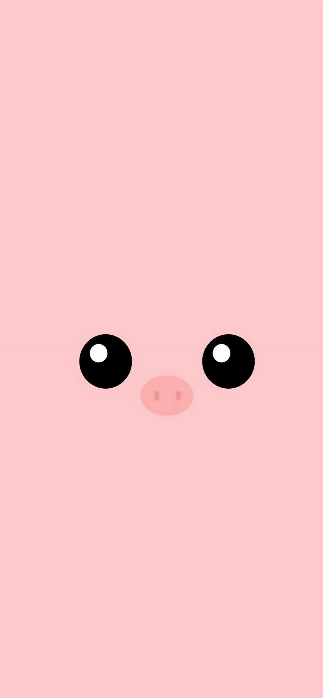 Cute Pig Iphone Wallpapers