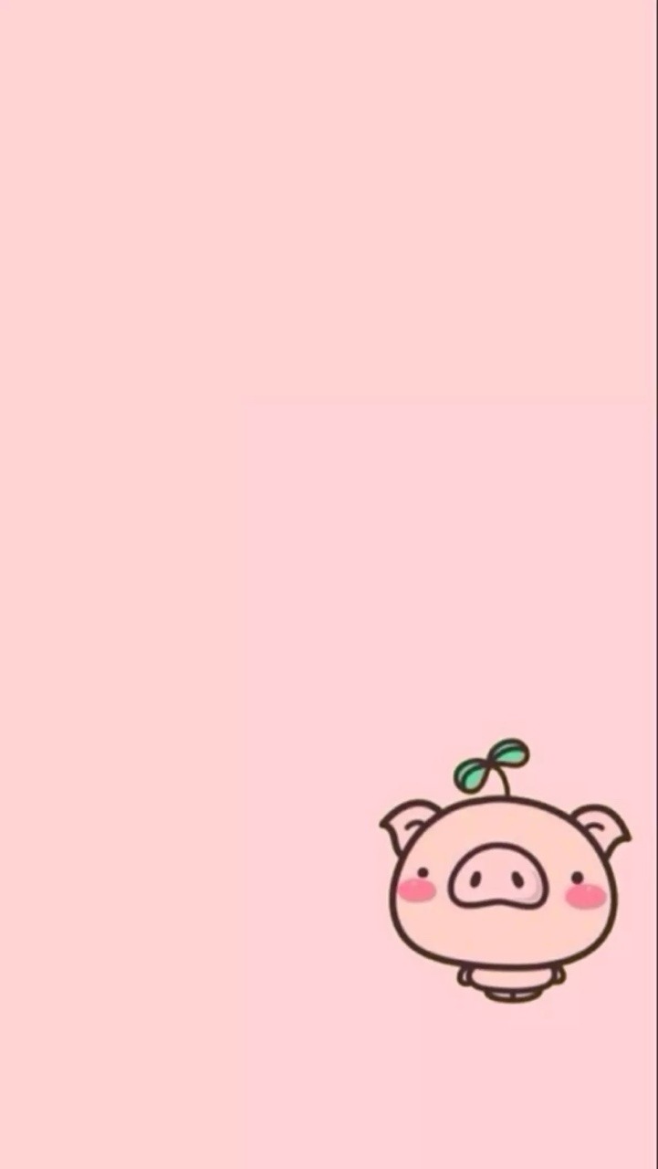 Cute Pig Iphone Wallpapers