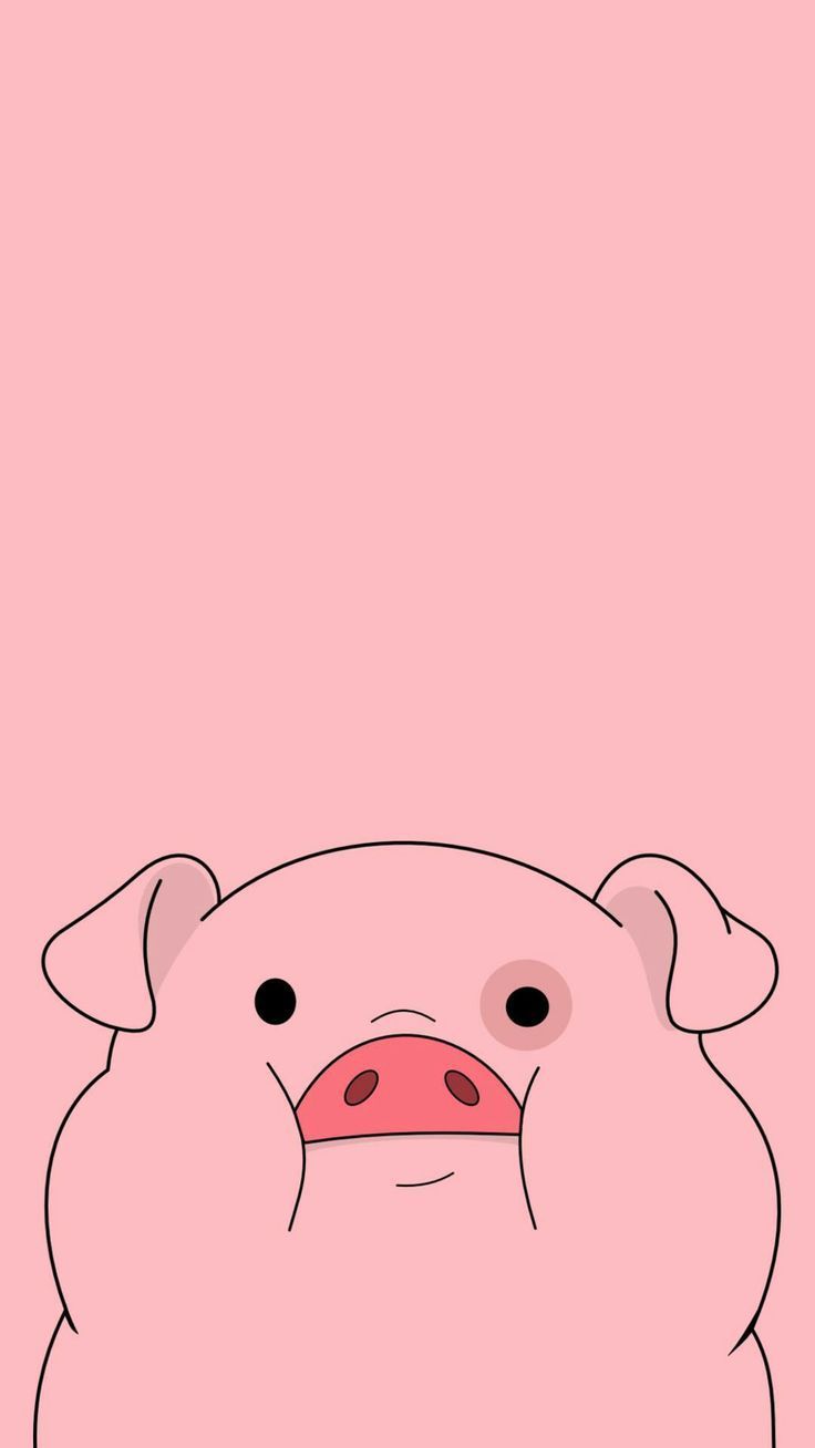 Cute Pig Wallpapers