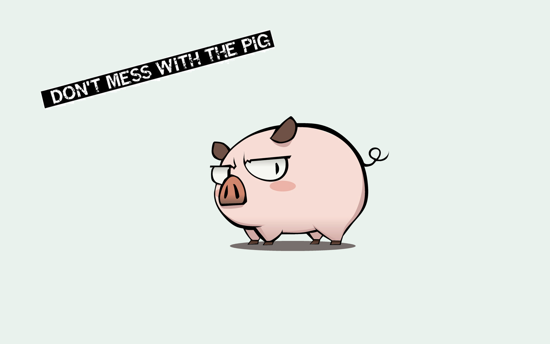 Cute Pig Wallpapers