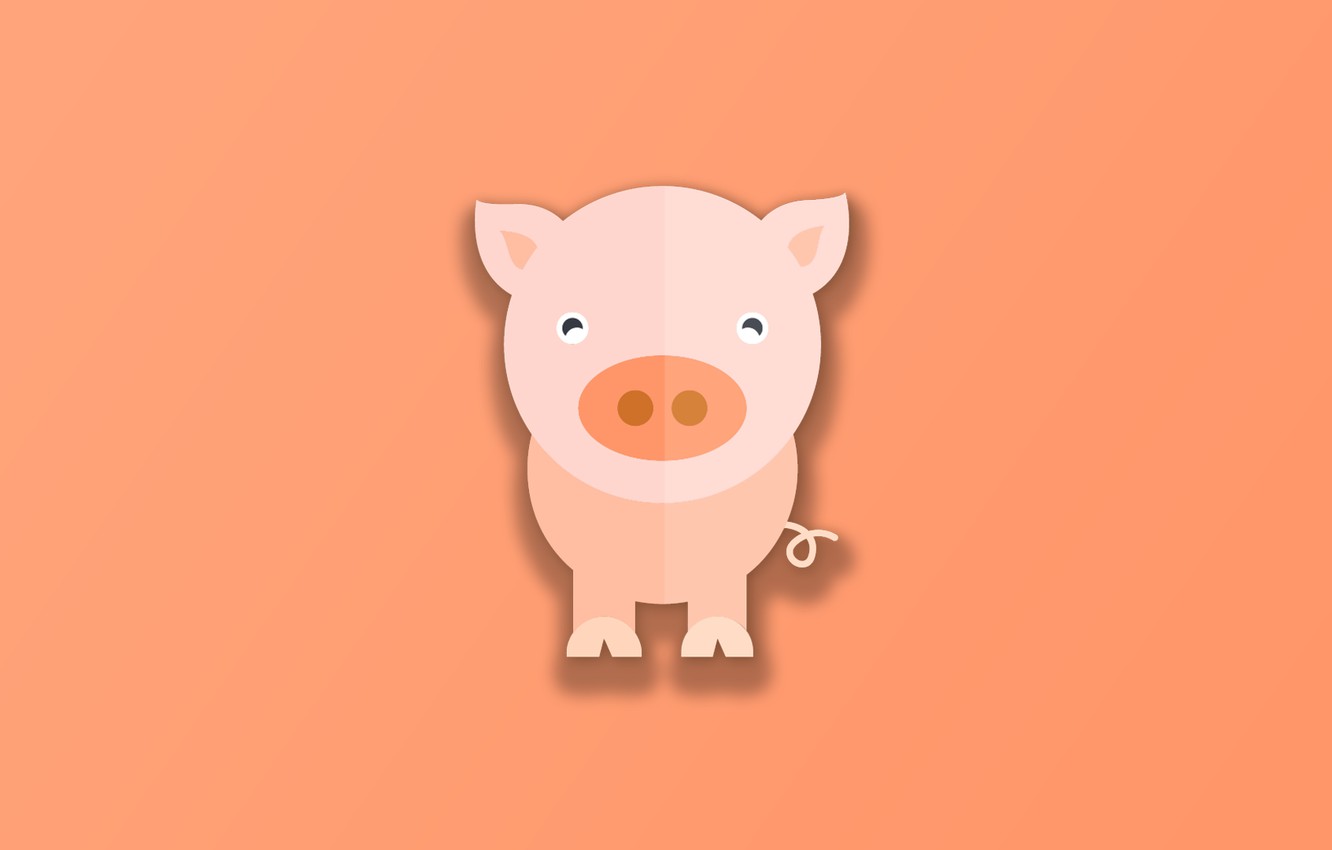 Cute Pig Wallpapers