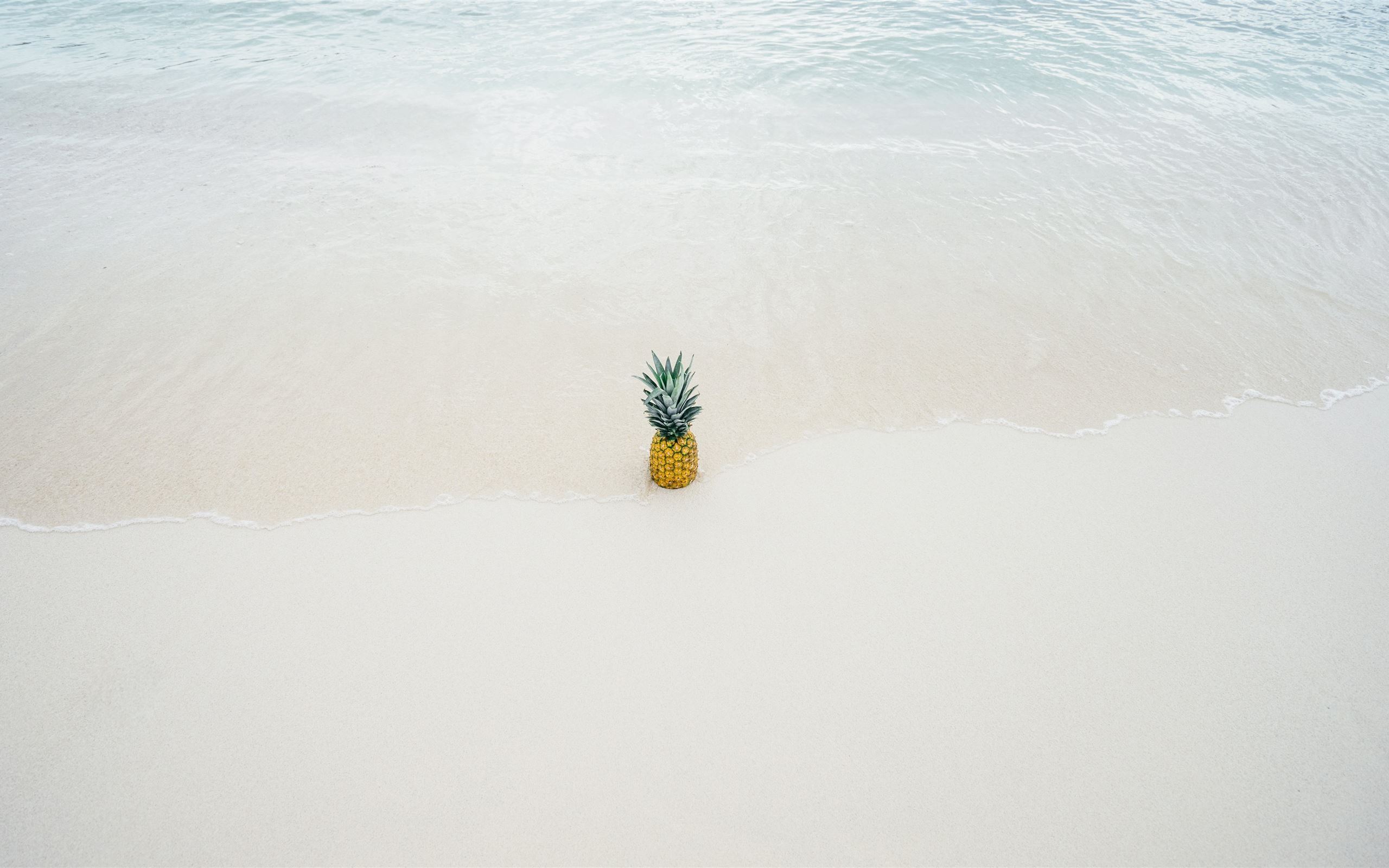 Cute Pineapple Beach Wallpapers Wallpapers