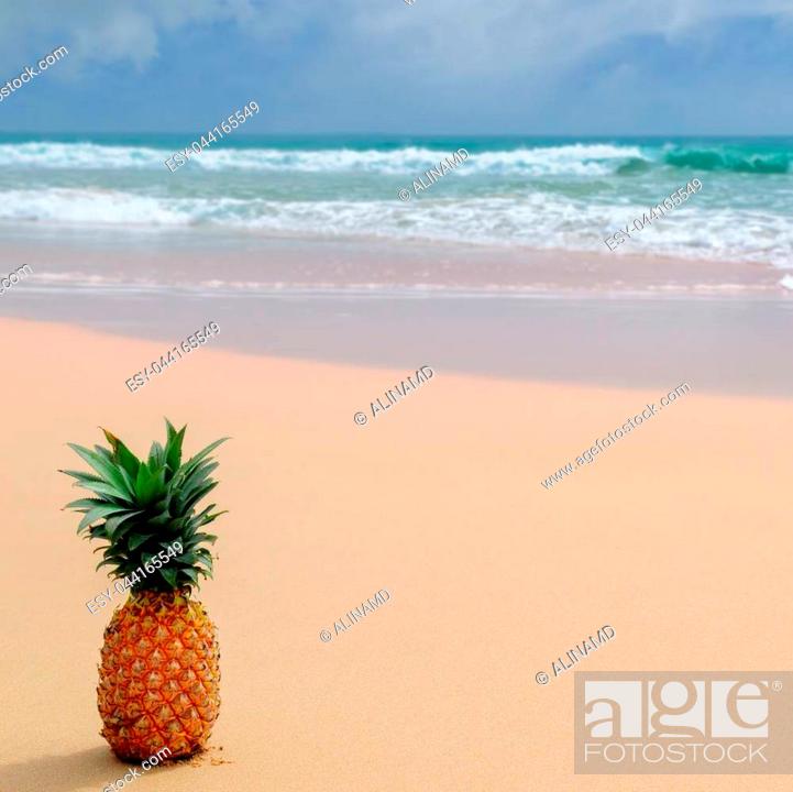 Cute Pineapple Beach Wallpapers Wallpapers