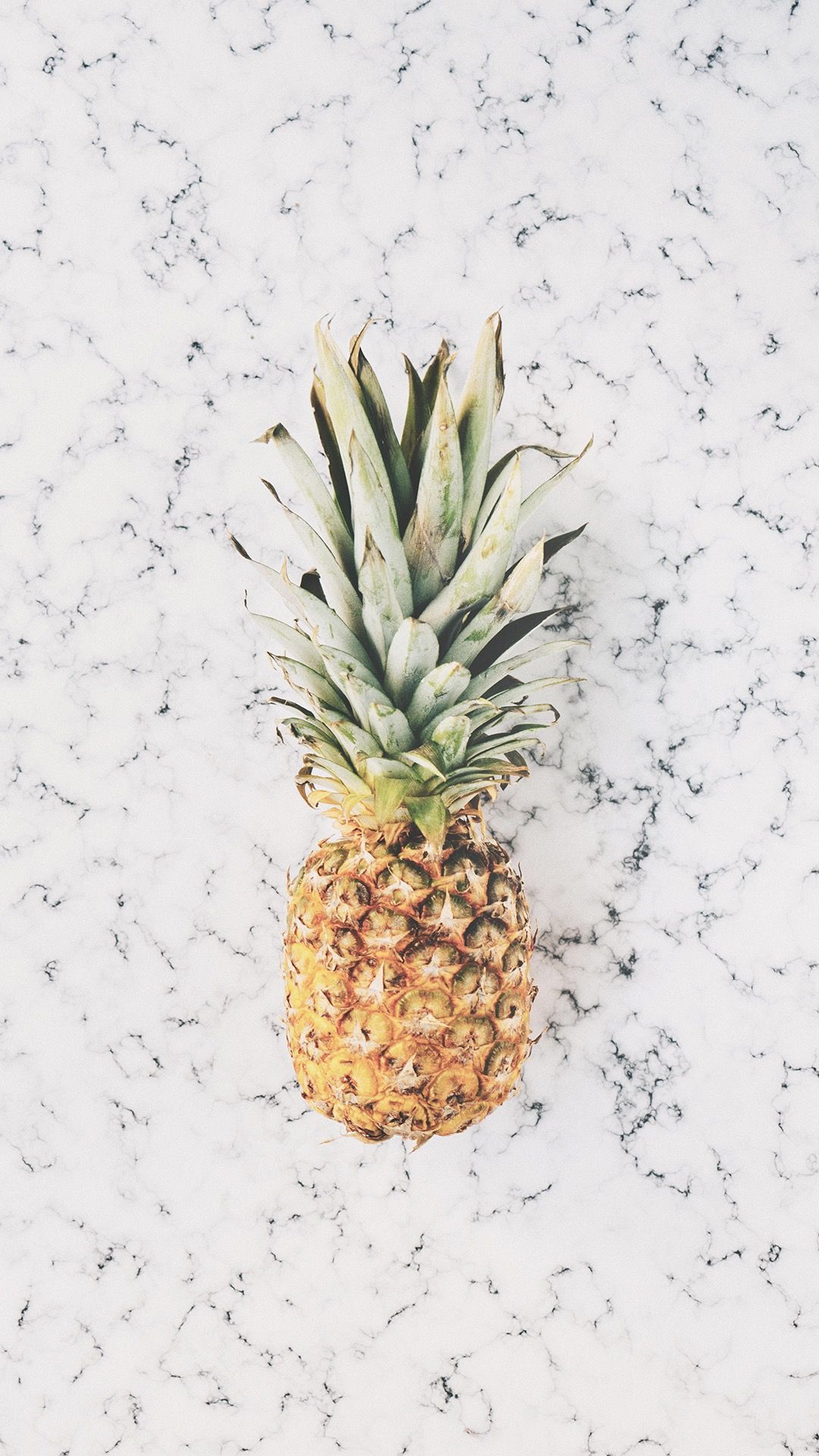 Cute Pineapple Iphone Wallpapers