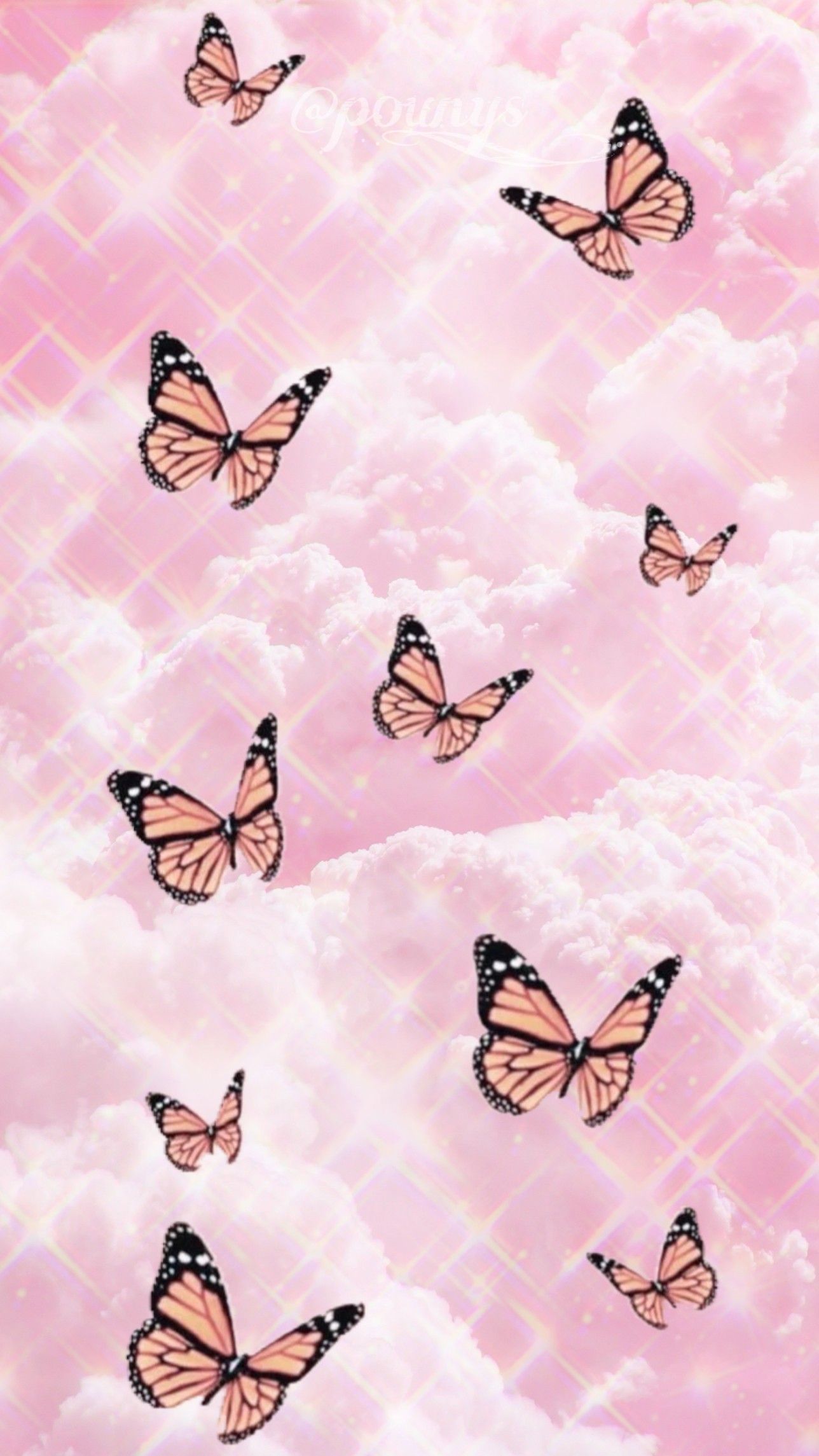 Cute Pink Butterfly Wallpapers