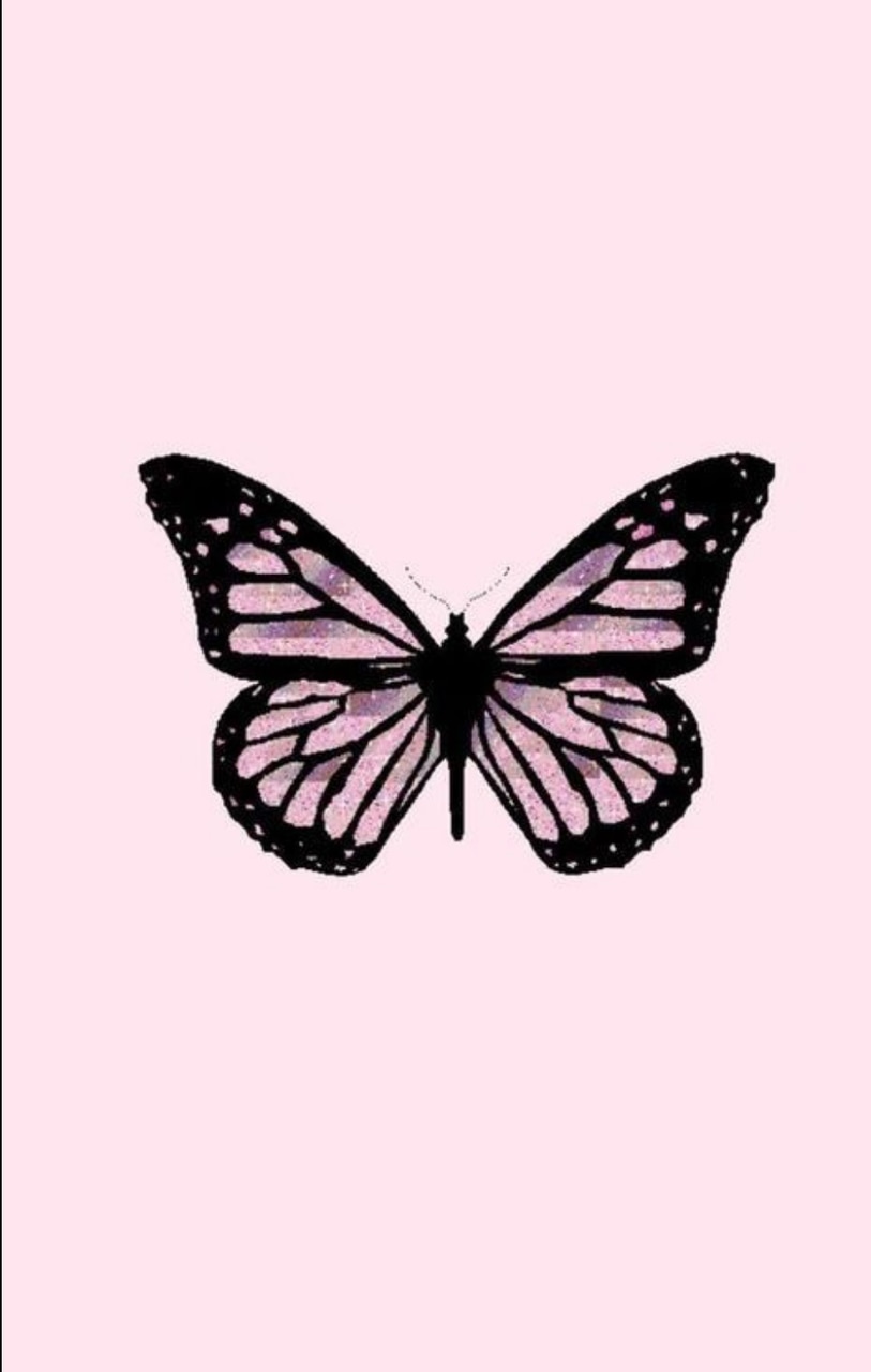 Cute Pink Butterfly Wallpapers