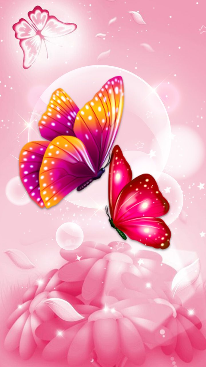 Cute Pink Butterfly Wallpapers