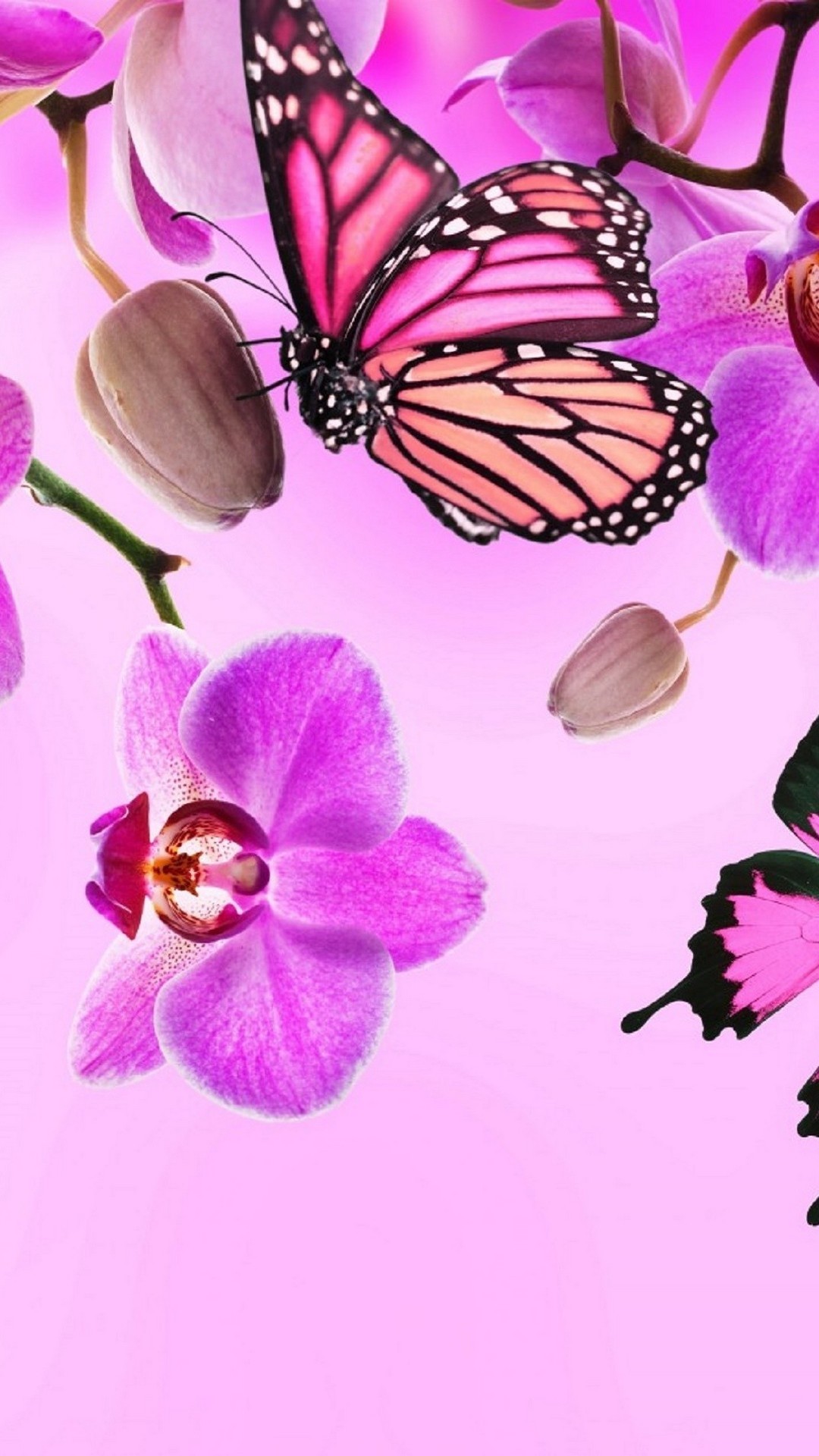 Cute Pink Butterfly Wallpapers