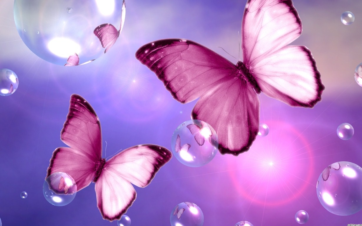 Cute Pink Butterfly Wallpapers