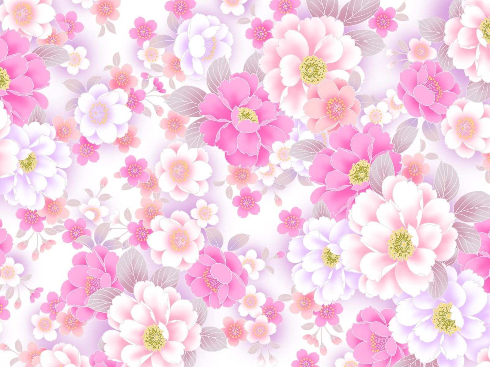 Cute Pink Flower Wallpapers