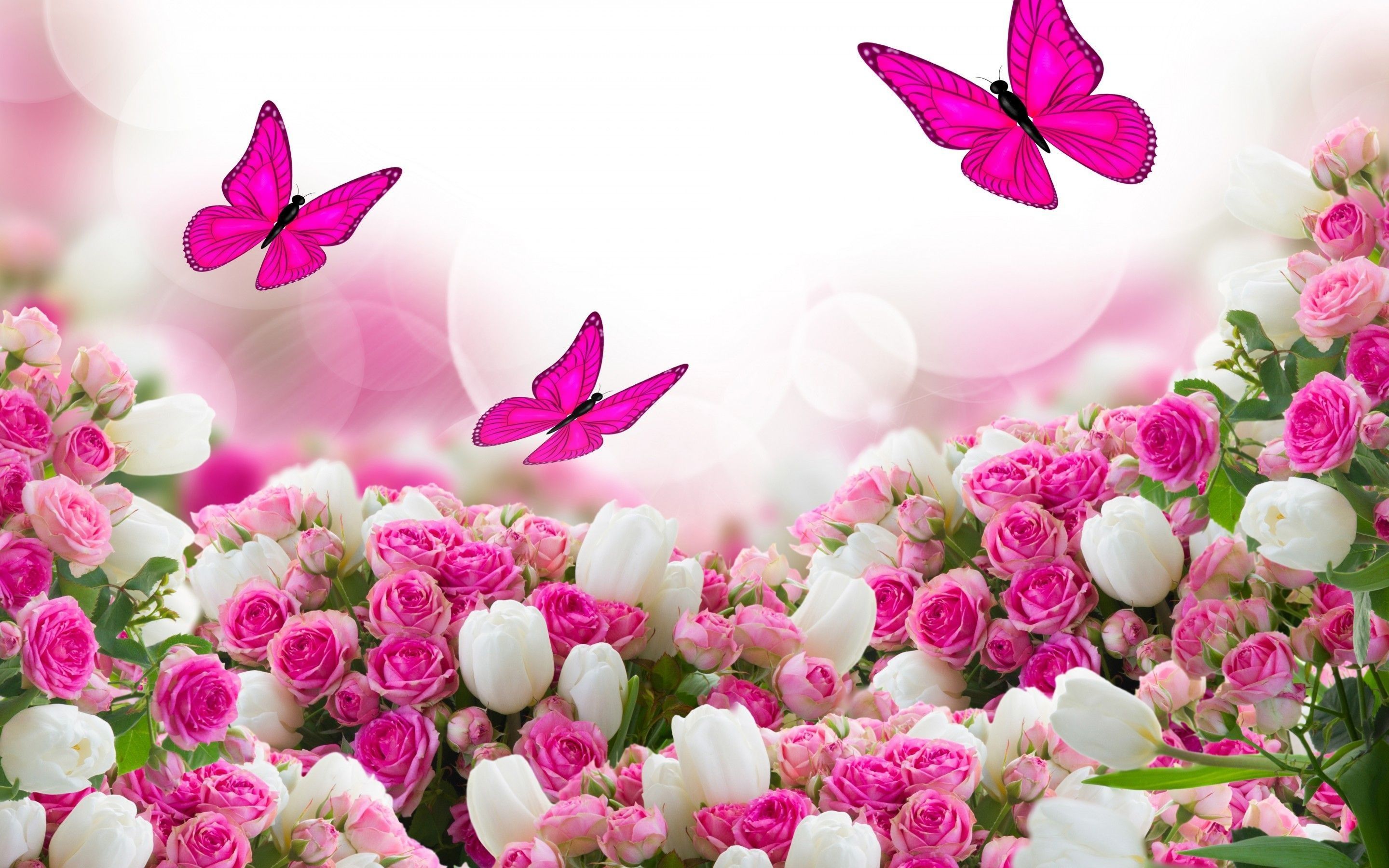 Cute Pink Flower Wallpapers