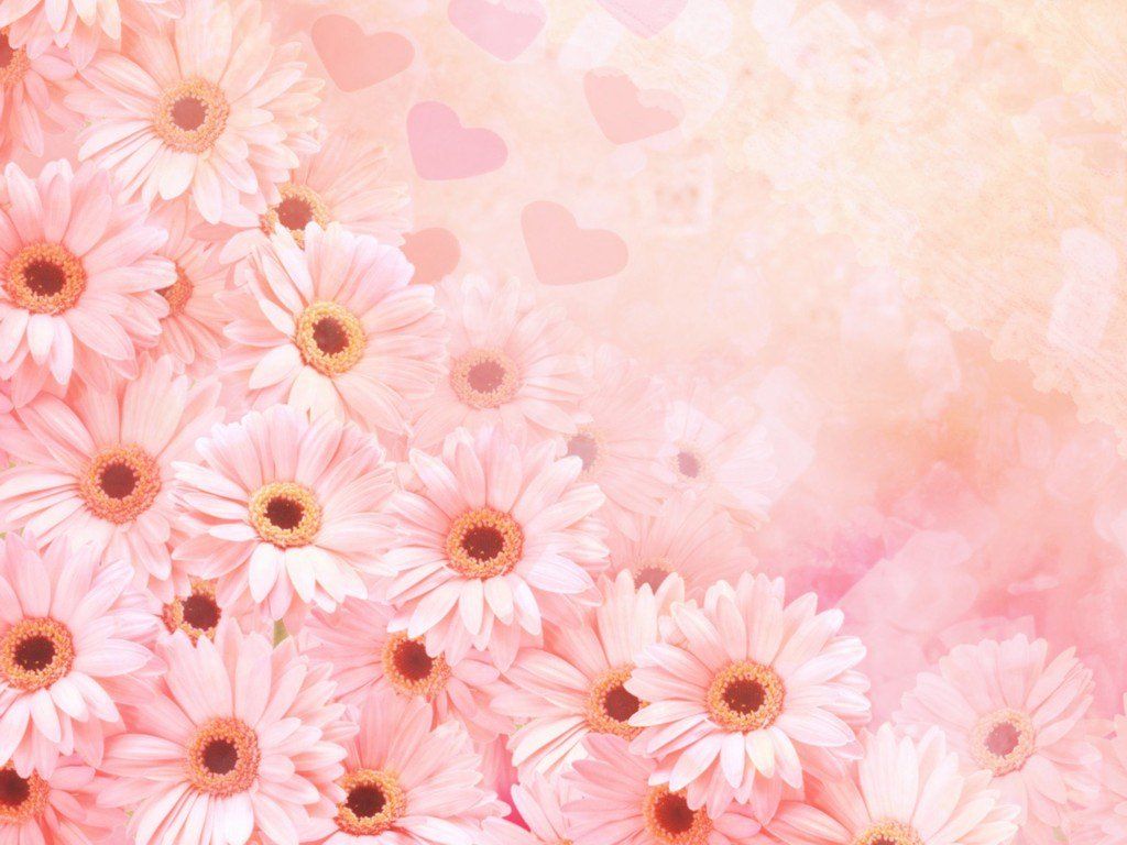 Cute Pink Flower Wallpapers Wallpapers