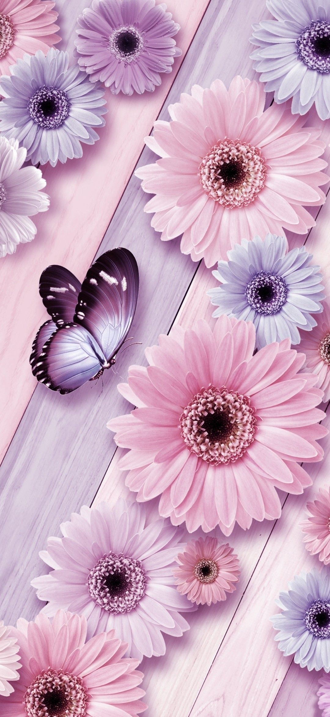 Cute Pink Purple Wallpapers